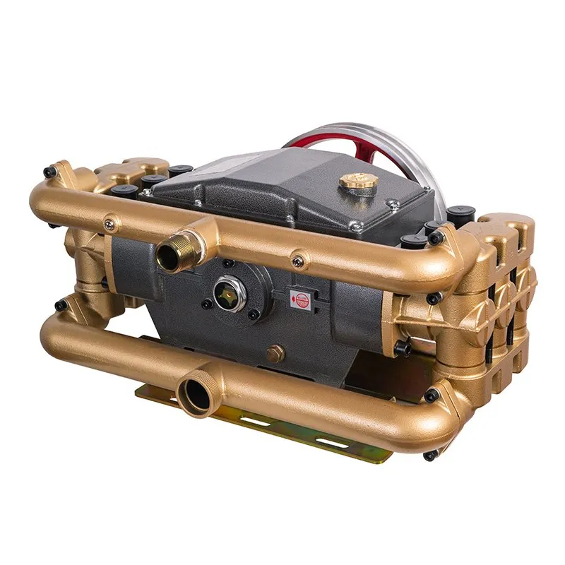 Posebna klipna pumpa visokog{0}}protoka za raspršivanje vode (6 klipova)